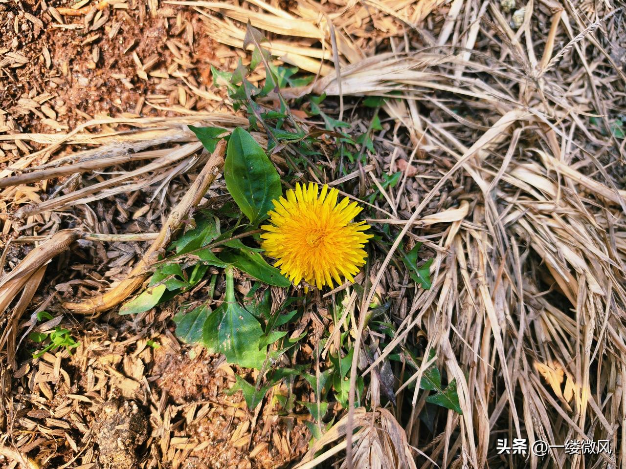 在办公室，同事说今天又省了两千多块钱。
我问她为什么，她说，今年幼儿园大班减免了