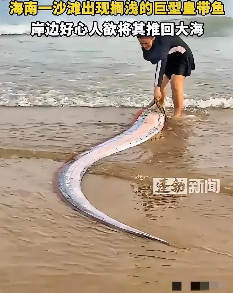 太罕见了！海南，女子在海边游玩时，突然发现有个东西被海水冲了上来，上前一看竟然是