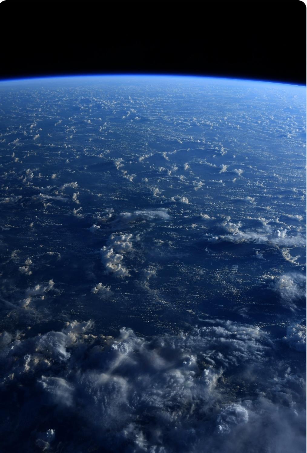 法国总统马克龙：我们成功了。

今天，保护公海和海洋生物多样性的国际条约正式生效