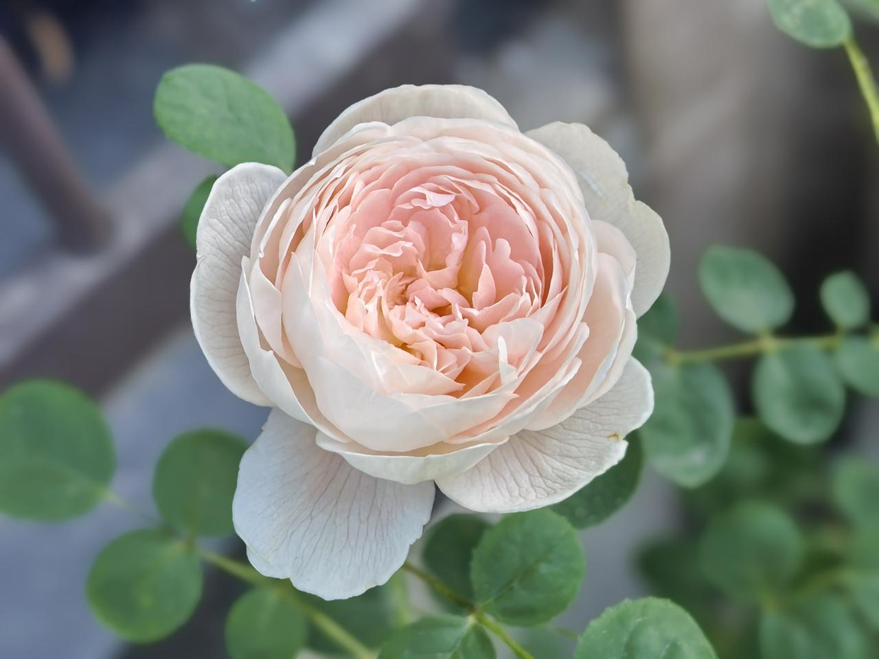 天津赖老师根本不配做教师这个行业，希望其他老师引以为戒，有则改之，无则加勉。
