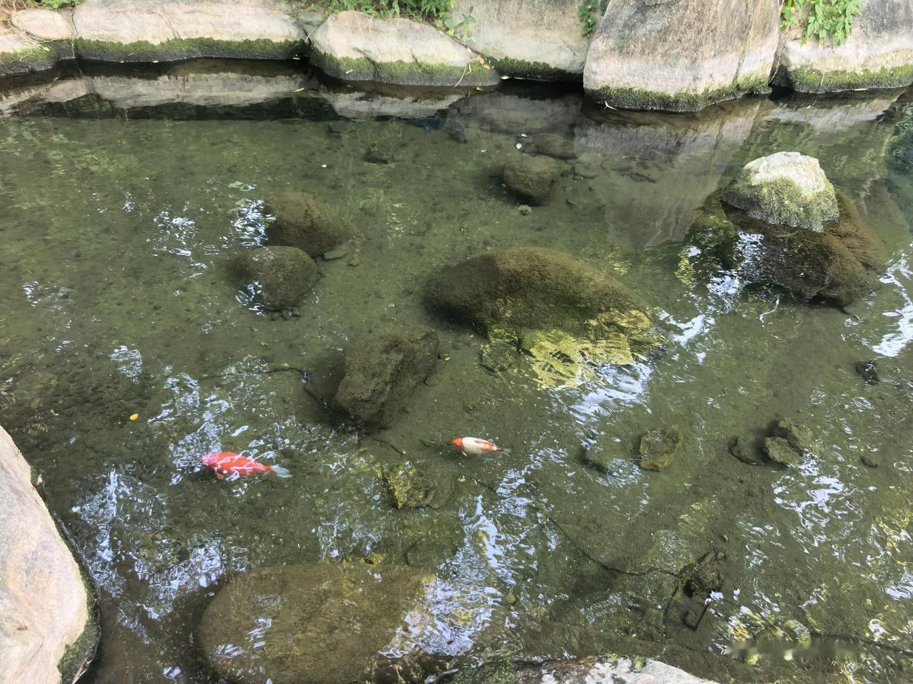 秋日生活打卡季允许一切发生。