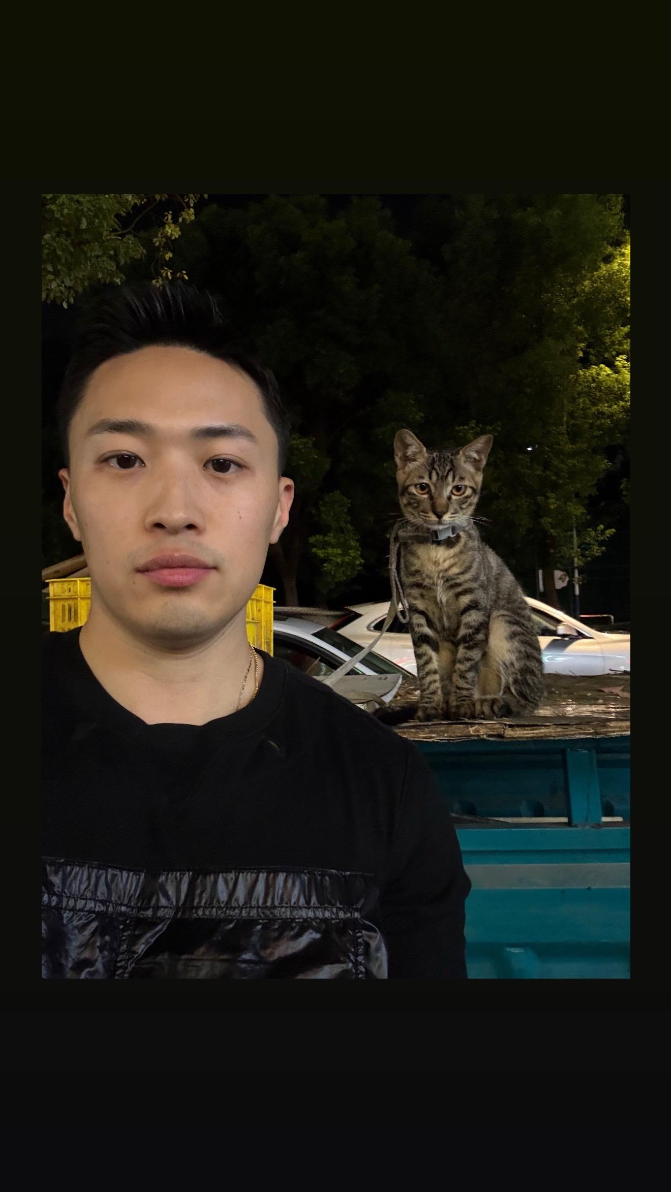 十月小记 好多猫 最近断更 享受生活中