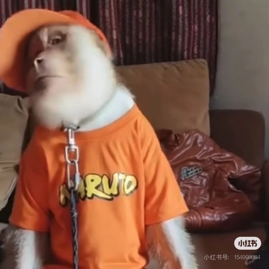 史上颜值巅峰iPhone要来了史诗级！里程碑！巅峰！天花板！史上最强！感觉科技媒