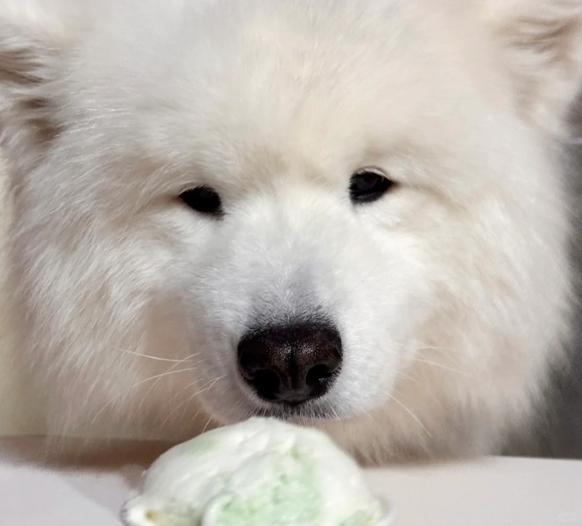 看把孩子馋的，都快哭了