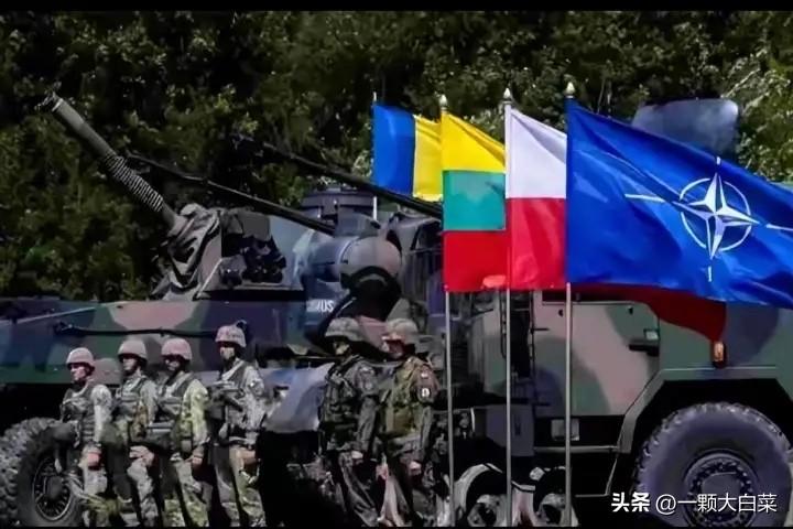 乌克兰经过四年的抗战，已经由弱变强了！未来若是加入了北约组织，肯定是独占鳌头。[