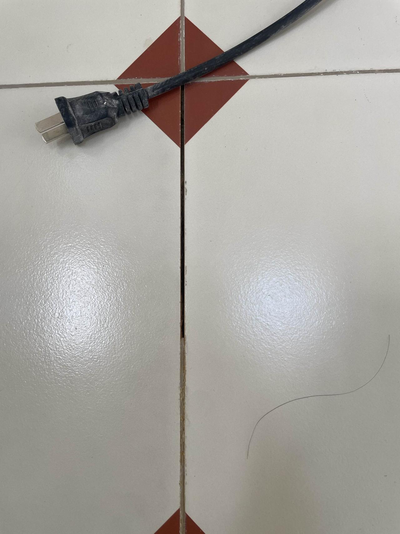 卫生间旧美缝脱落，有渗水，把美缝全拆除从新填水泥基填缝剂卫生间美缝 卫生间美缝