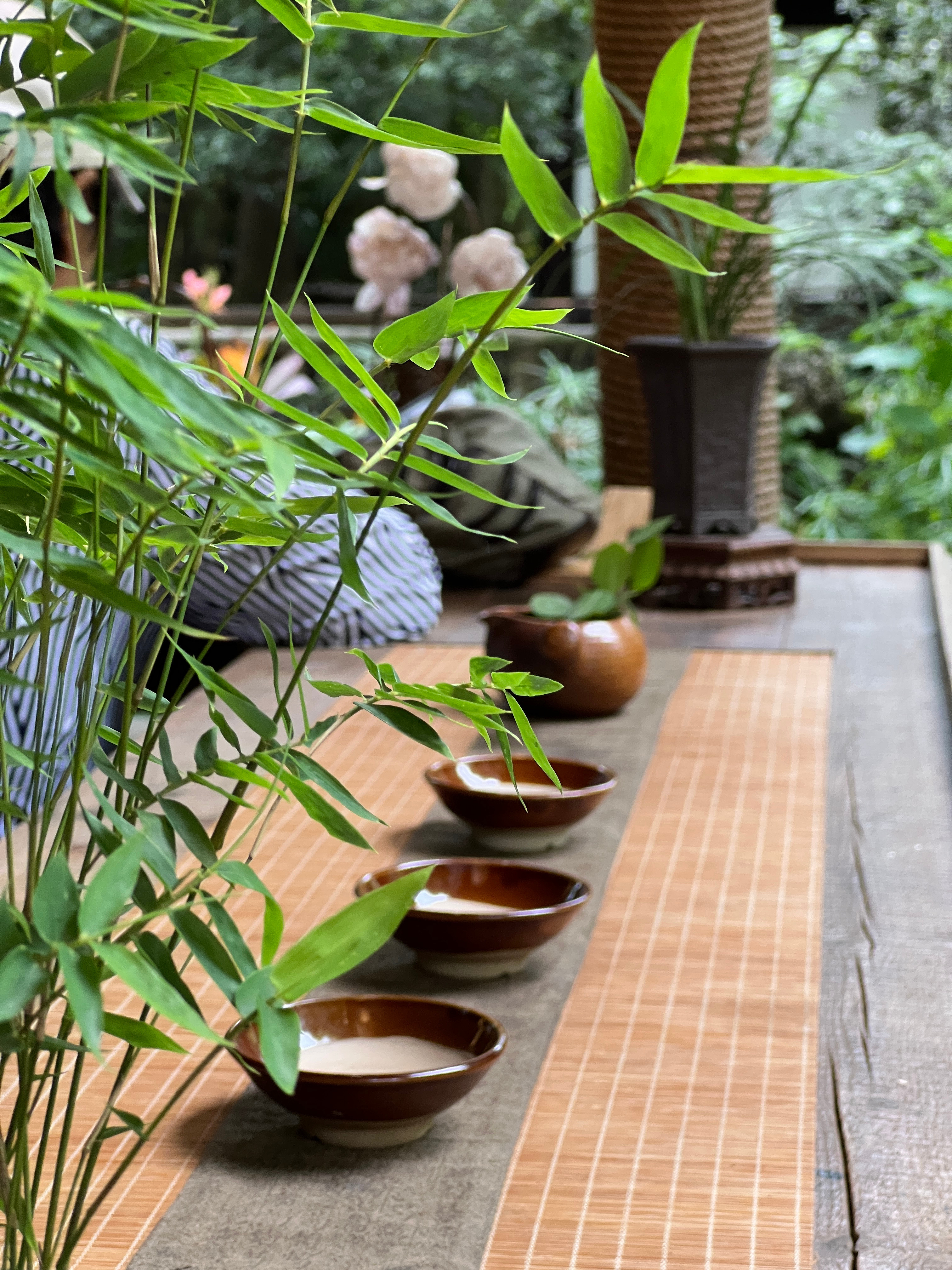 这首曲子就应该才成都武侯祠还是杜甫草堂来着，那个小湖边的茅草屋里，抚琴一曲 