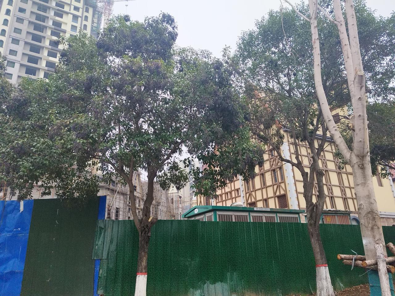 德国总理都访华了，许昌德国小镇项目是不是也要加快完工进度了？许昌芙蓉湖商业区有一