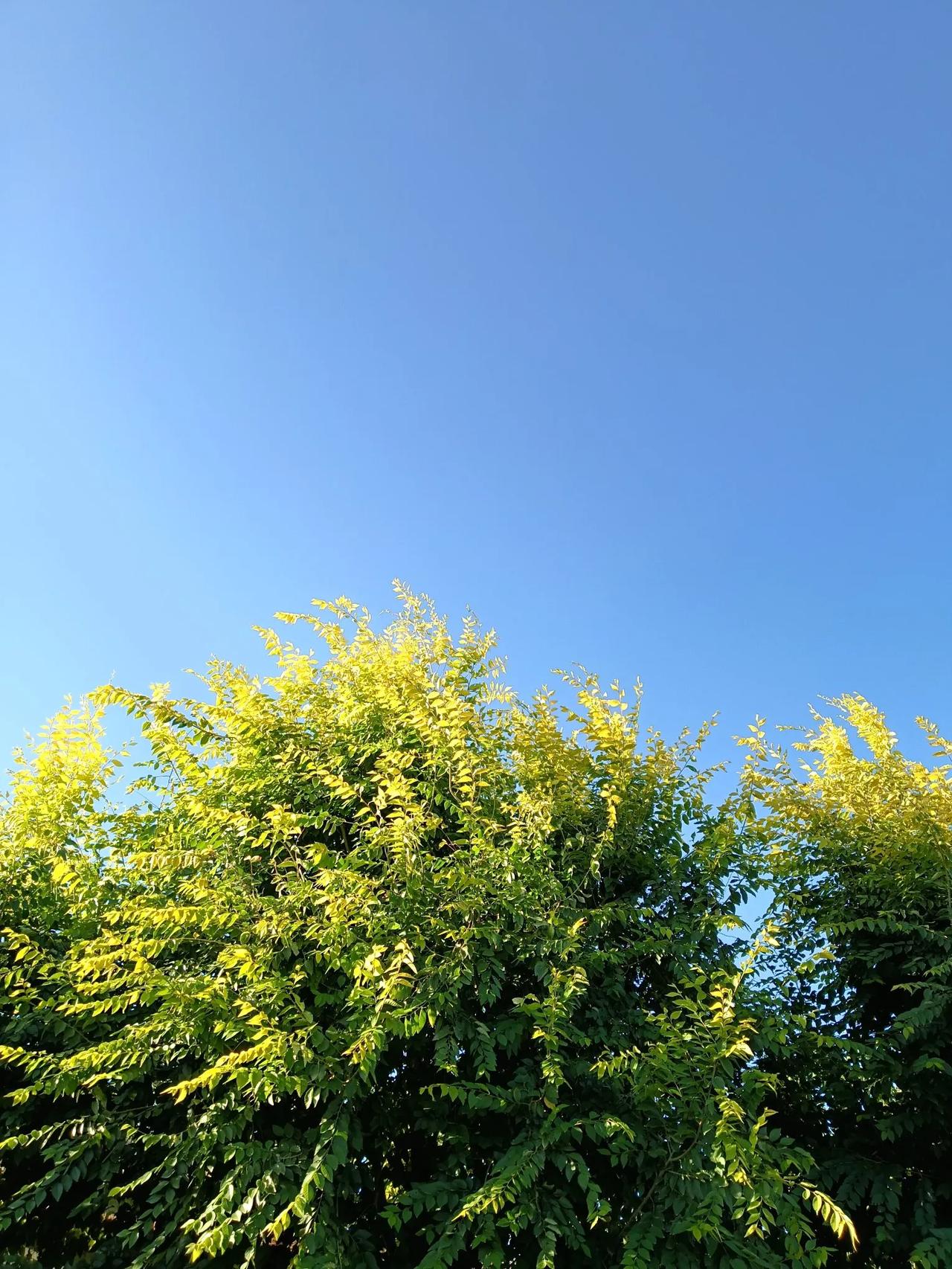 小时侯，有一件事轰动全公社！
六，七十年代的公社干部，大队干部和生产队长，在广大