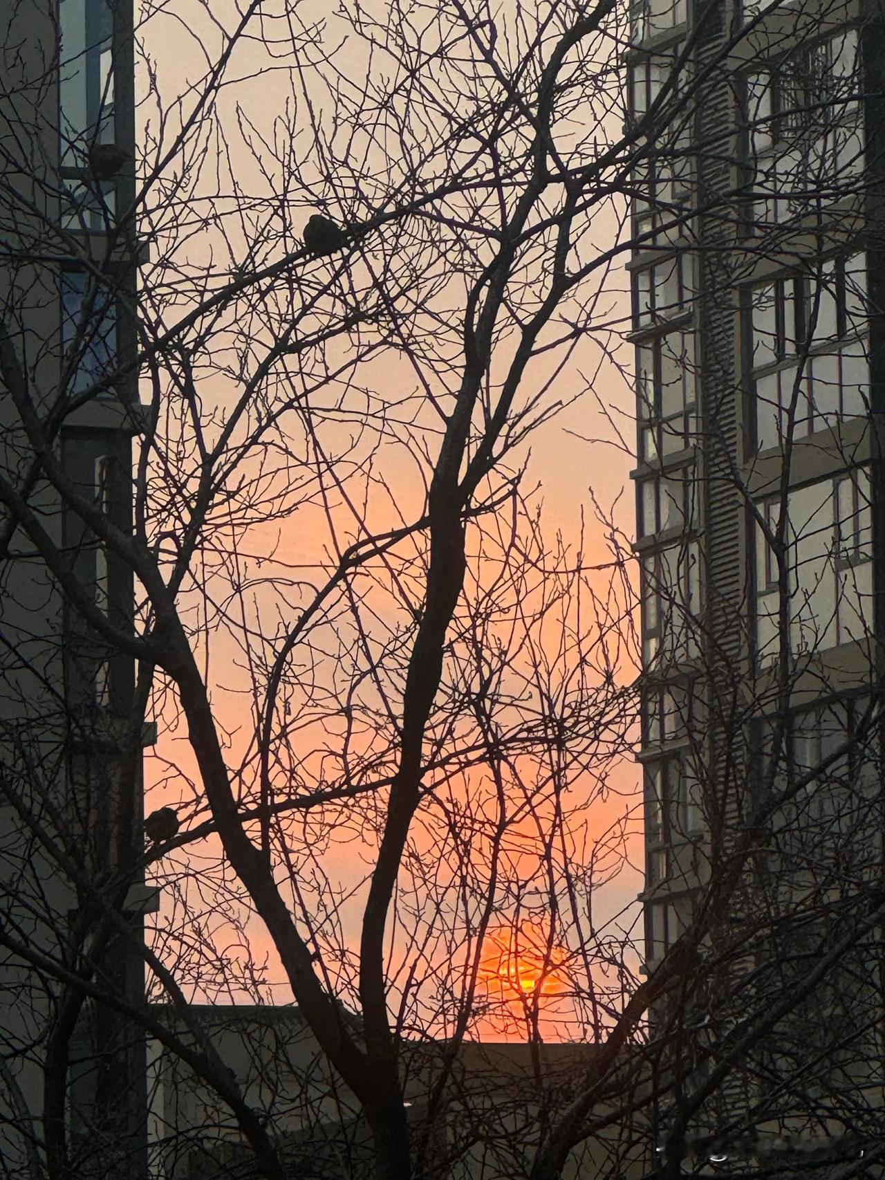 城市落日