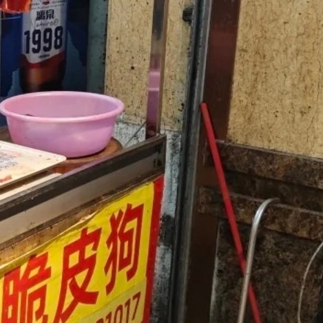 夏以昼 开饭了随便挑随便选秦彻 老爸好苏 