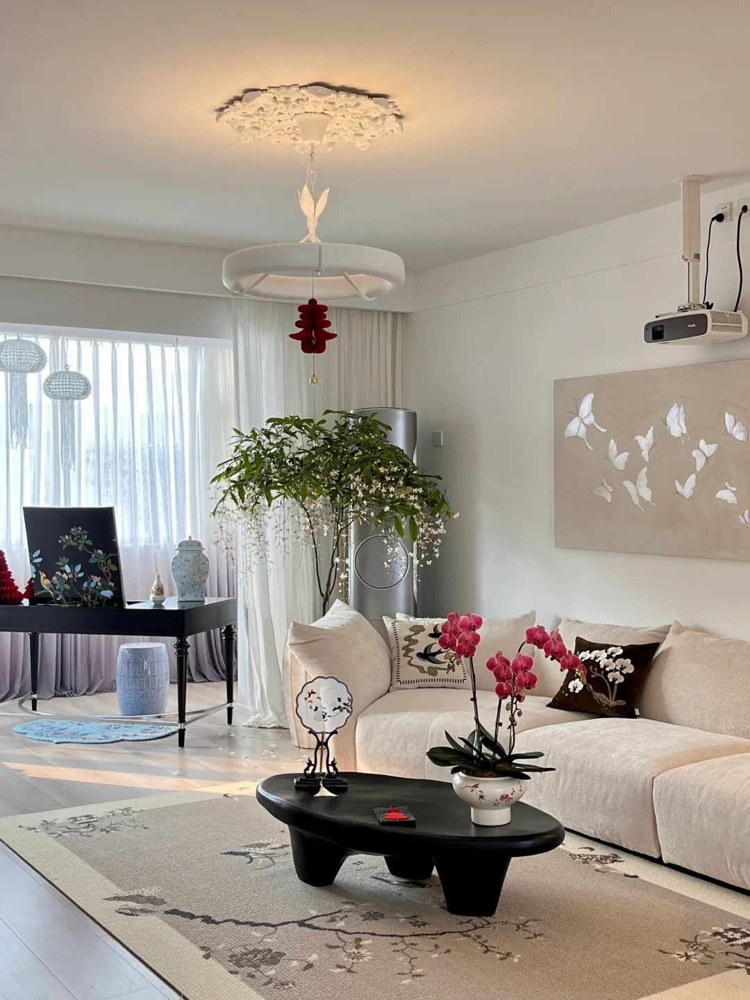 💰300买回了一棵垂丝茉莉树｜万条垂下绿丝绦