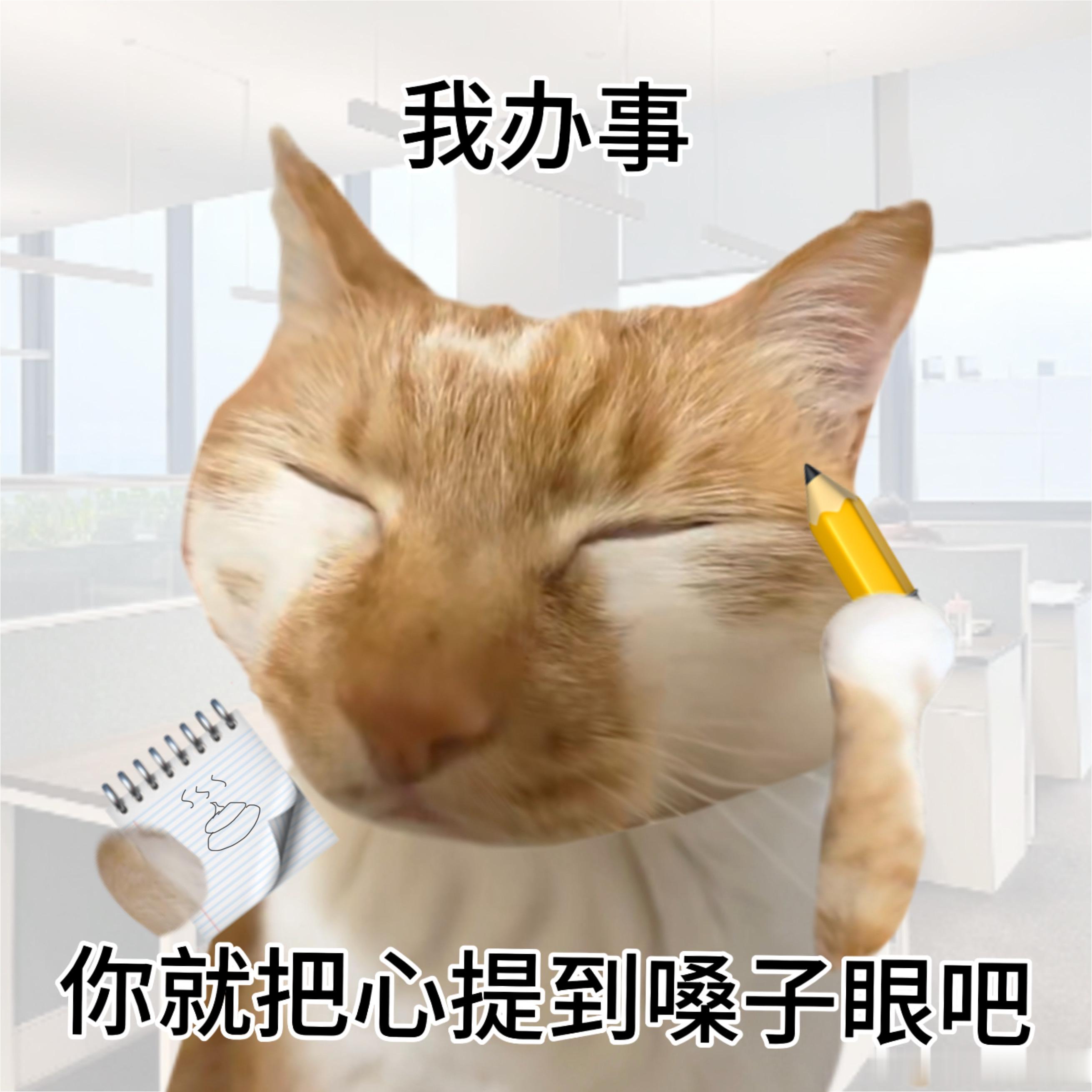 我办事你就把心提到嗓子眼吧