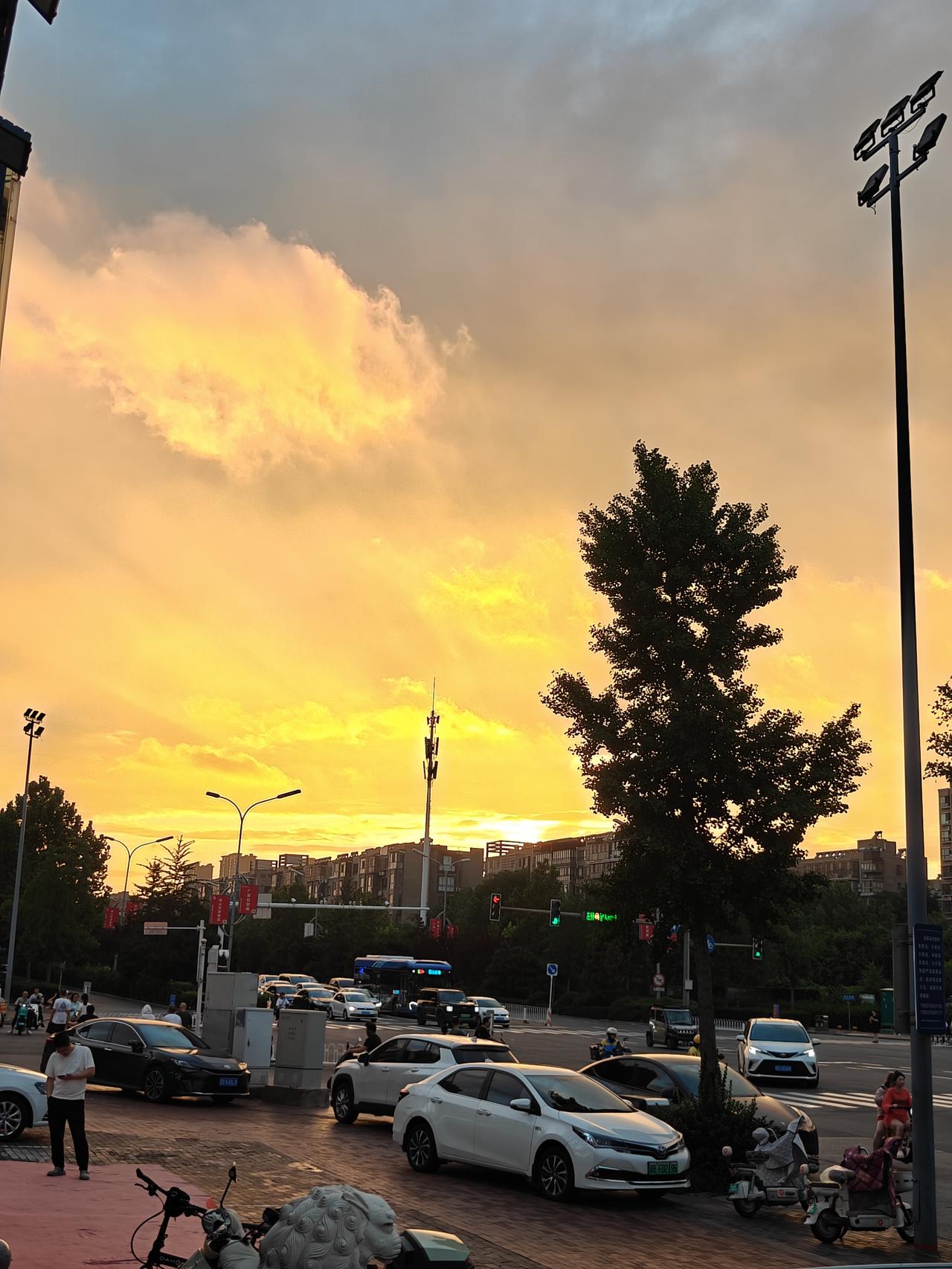 夏日生活打卡季昨晚，久违的夕阳把天空映成金黄色。