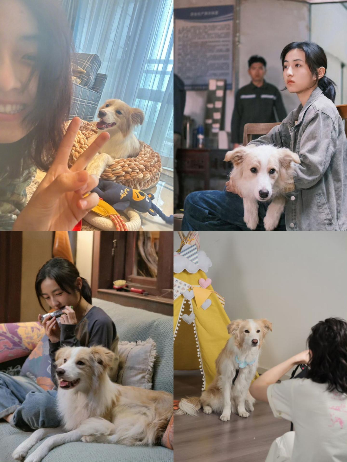 🐾今日上映🐾🐕。记得来看👀我们的小满小意哦🐶🦴🦴🦴子子漫生活