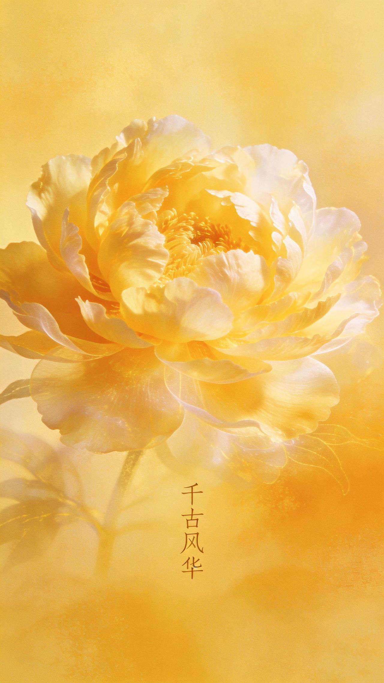 千古风华