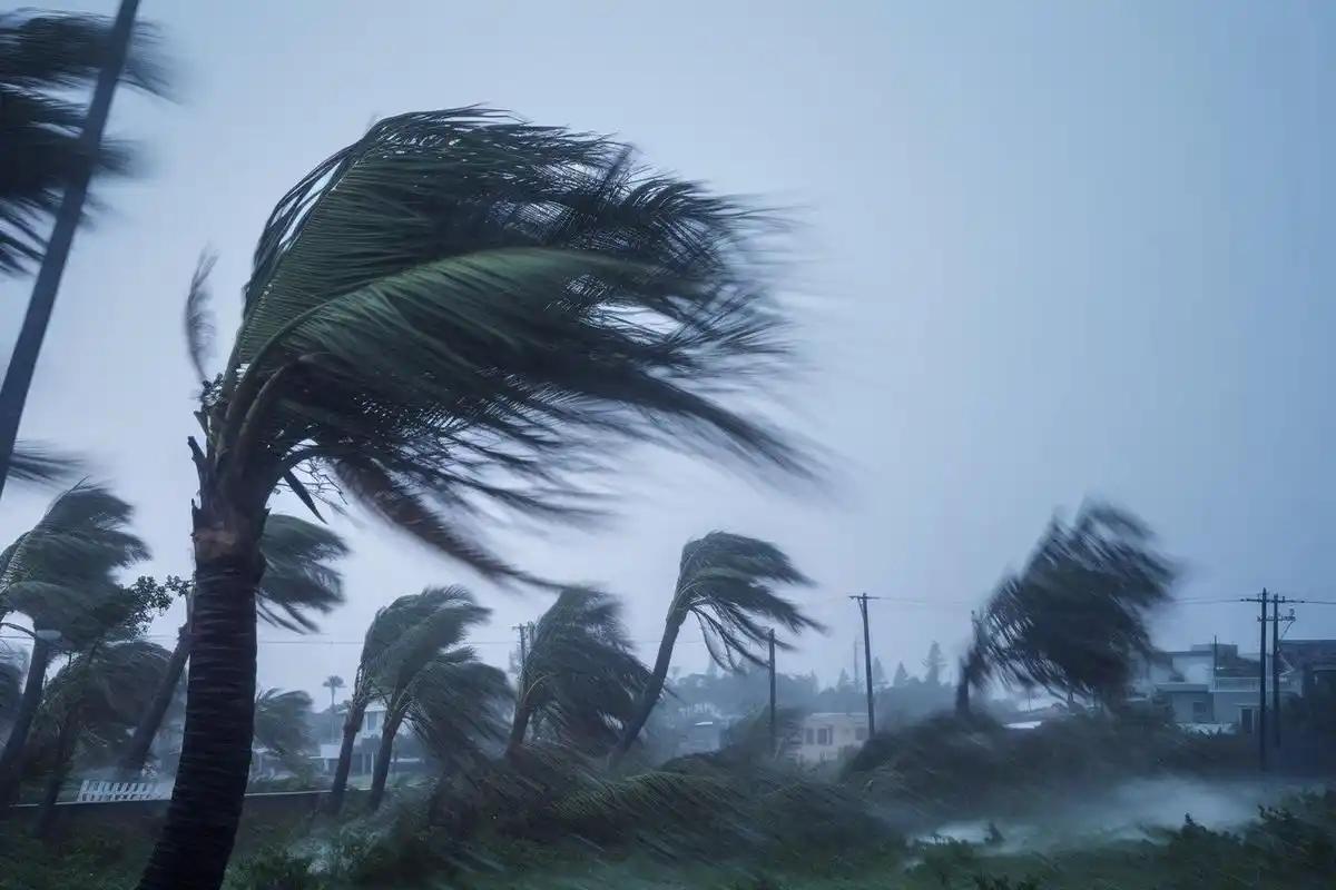 [微风]超强台风白海豚逼近东海！双路径暗藏全域风雨风险，南北沿海及内陆多省需严密