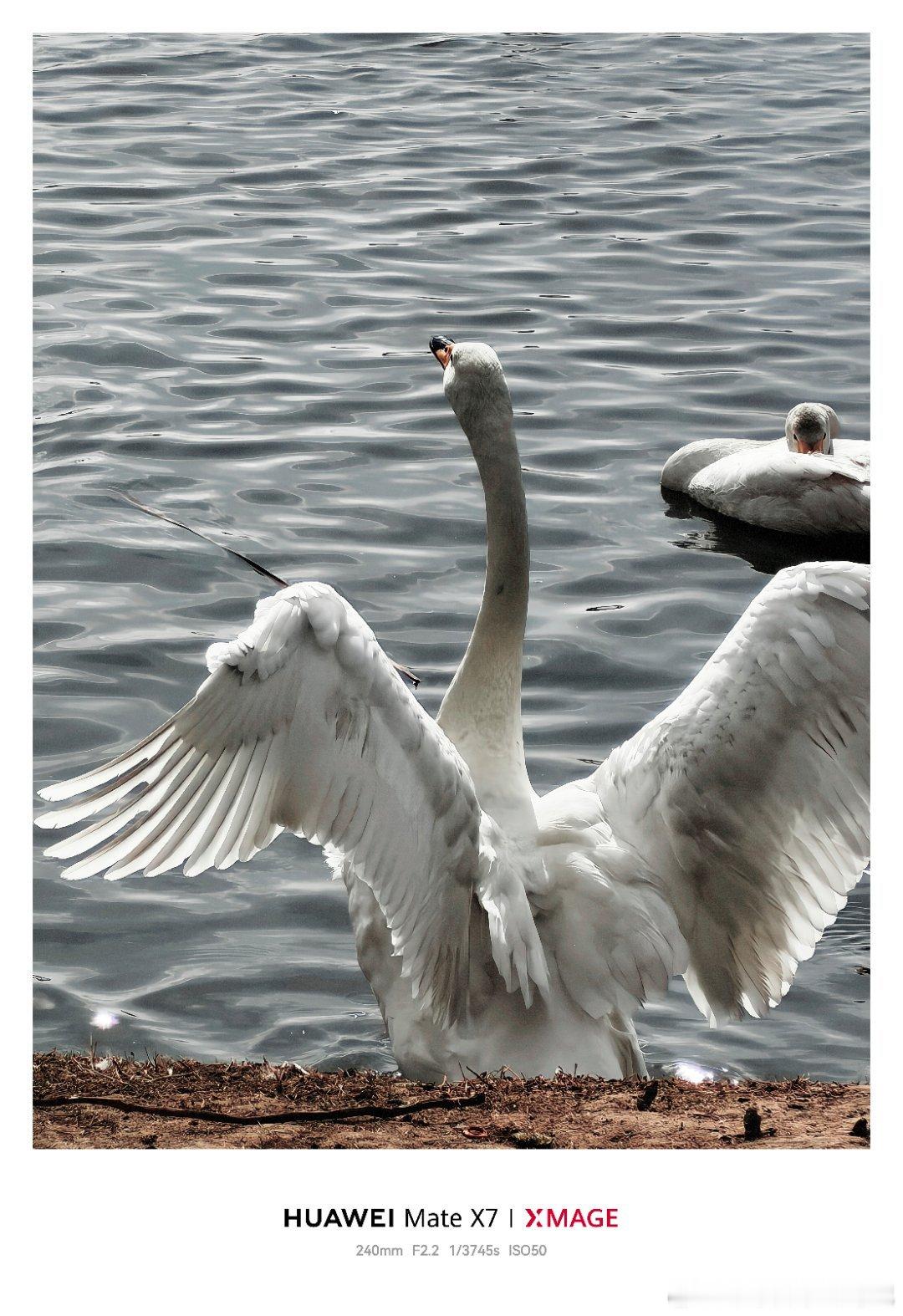 假期进入倒计时，这周除了星冰乐，应该还有好事智慧出行体验