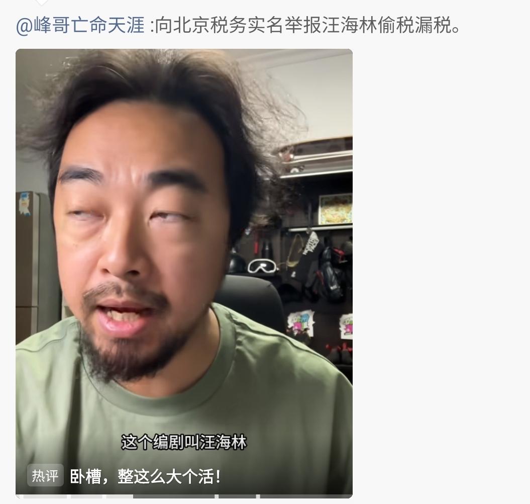 峰哥（网名峰哥亡命天涯）今天实名举报著名编剧、正能量代表人物汪海林偷税漏税，依据