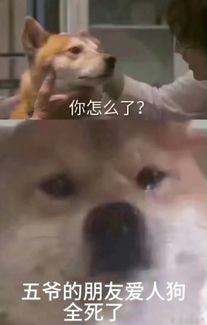 九门1分钟下线6个人1只狗 陈瑶九门第8集就下线了一边惋惜陈瑶饰演的霍仙姑过早退
