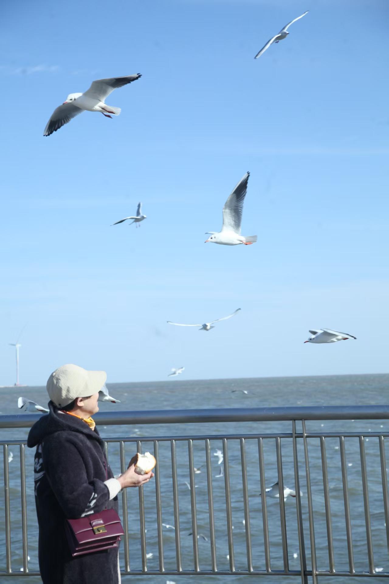 说一件真事吧，09年刚毕业，我去了一家装修公司，公司的阳台上摆放着一张床，因为没