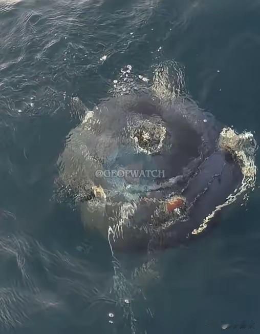 伊朗伊斯兰革命卫队海军在霍尔木兹海峡附近布设的1枚锚雷失控，飘到了阿曼海岸线附近