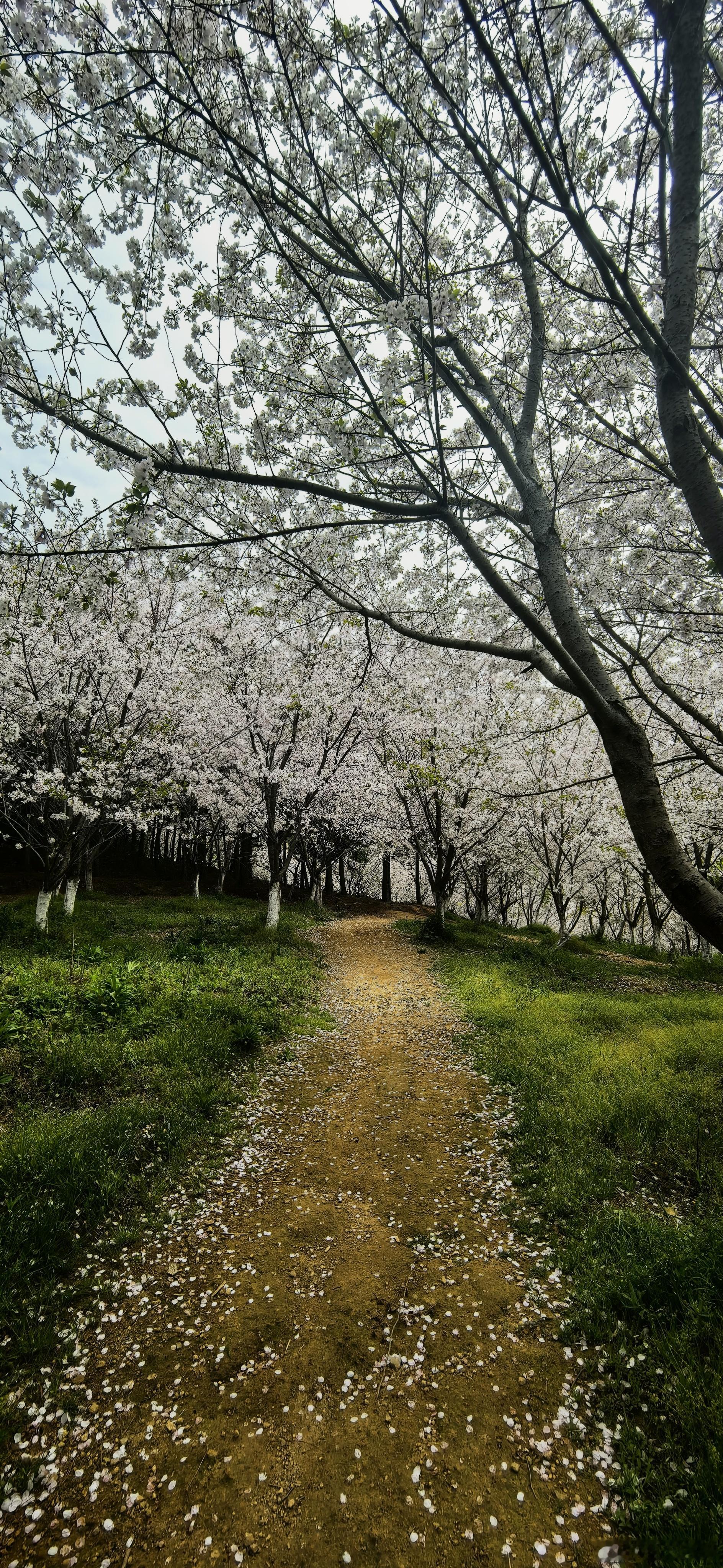 新壁纸  早安！ 