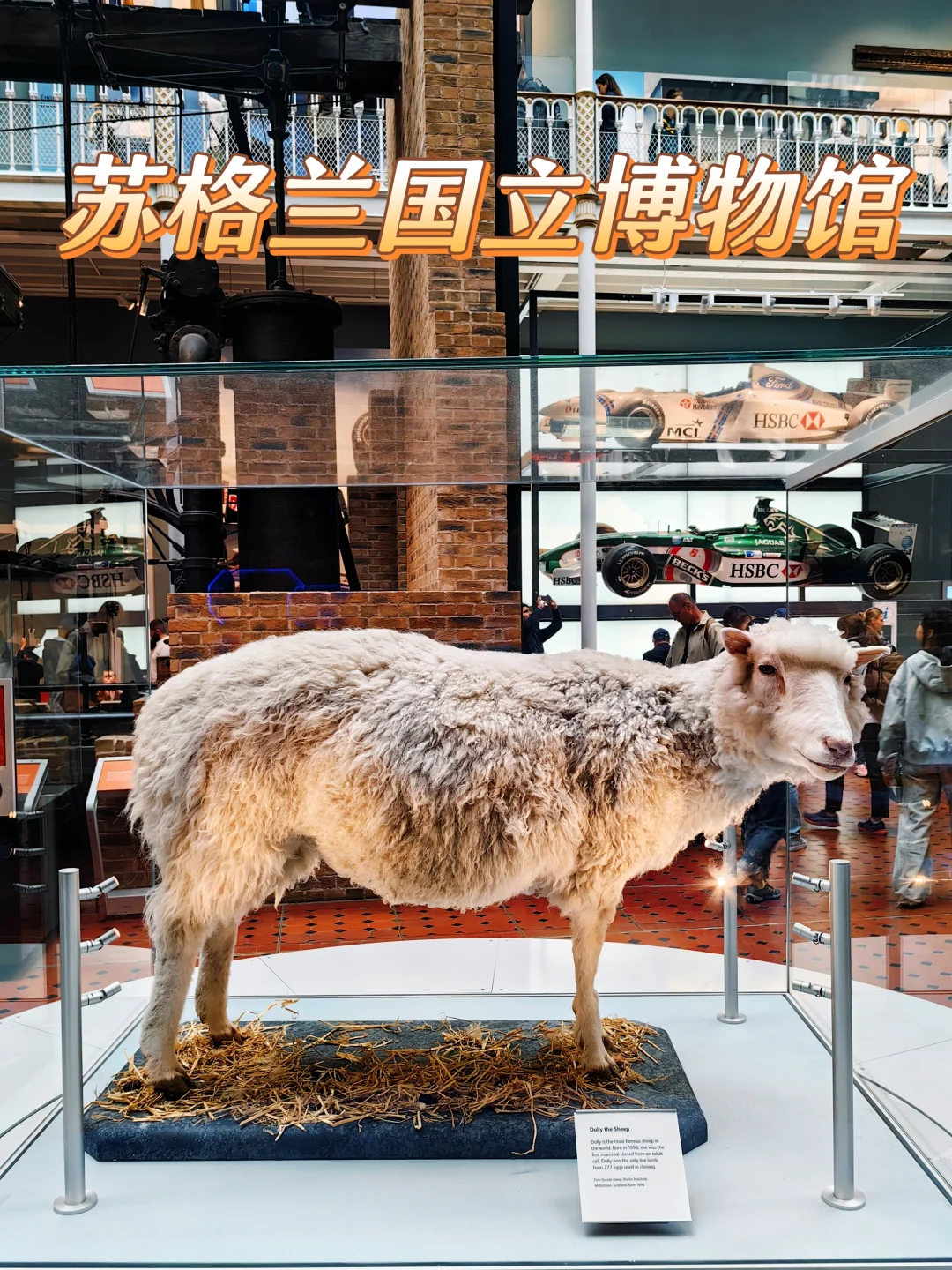 爱丁堡|苏格兰国家博物馆不白逛指南看这里