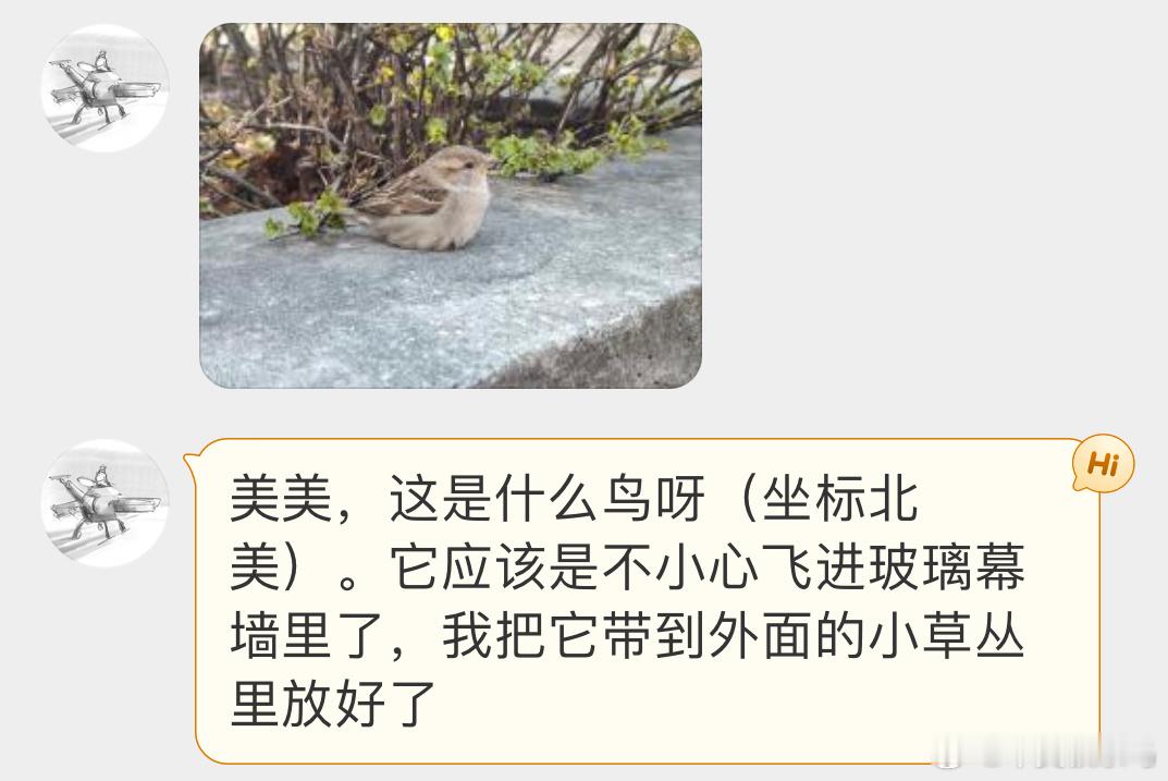 飞室内的【家麻雀】让它蹲在地上休息会应该能飞走的 ​​​