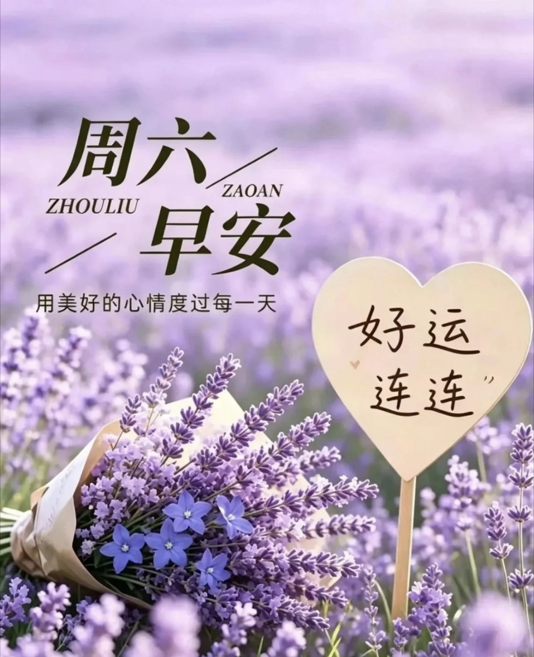 写文案早安！小日子，小欢喜，小坚持，小美好，愿你活在自己喜欢的节奏里， 一边努力