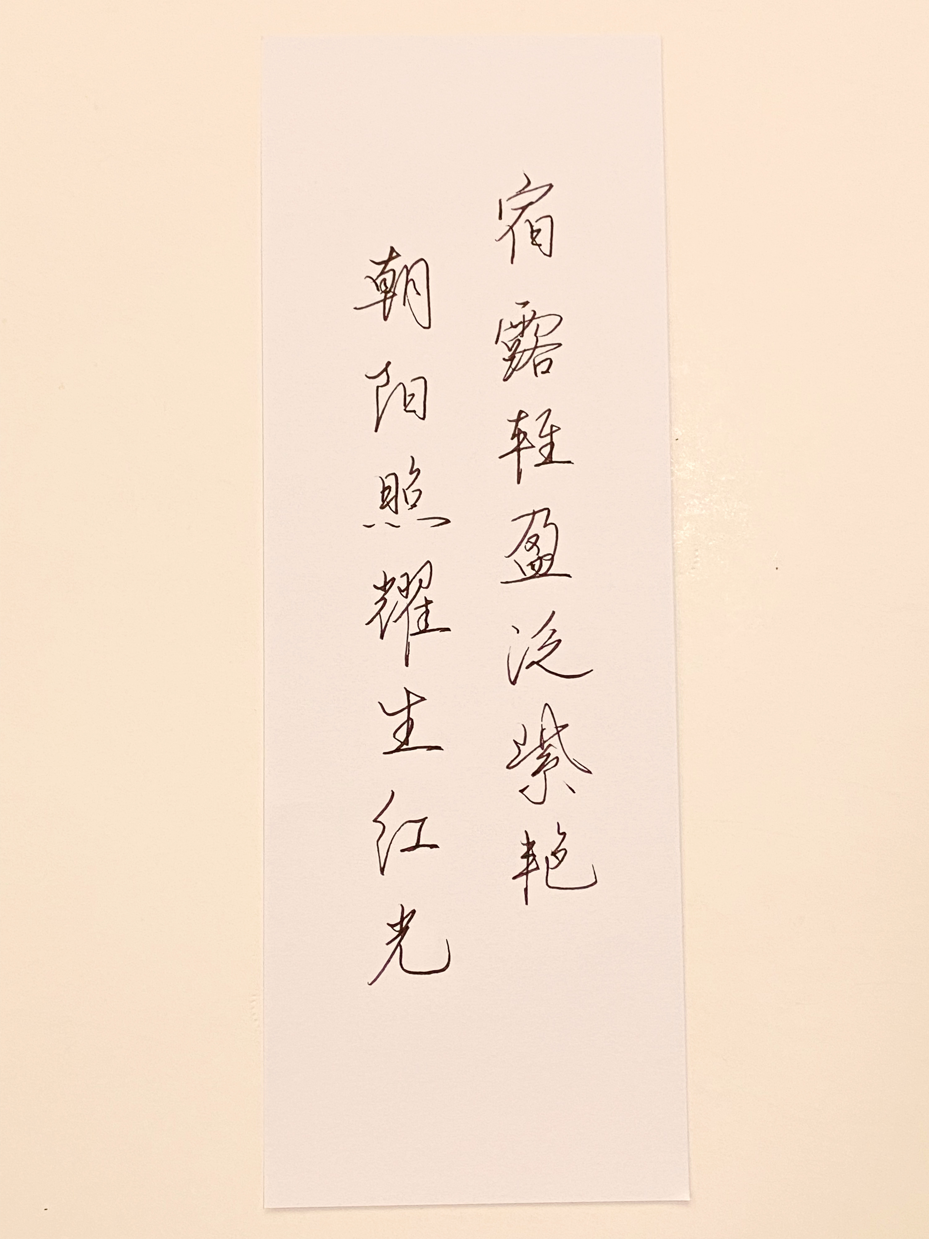 一起写写字  朝阳照耀生红光 
