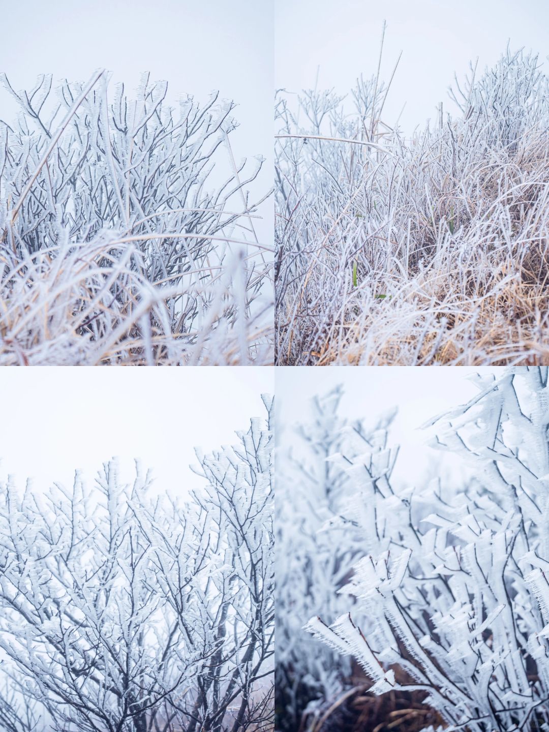 小土豆家门口也可以玩雪了哦！