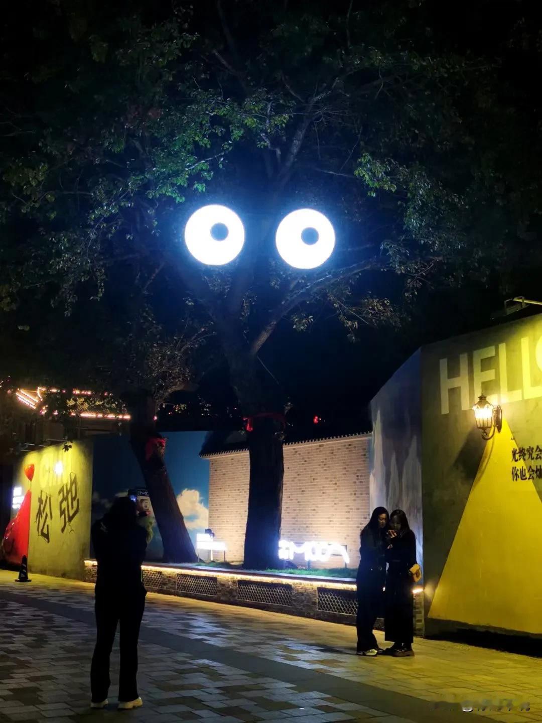 
总有一双眼睛深情注视👀