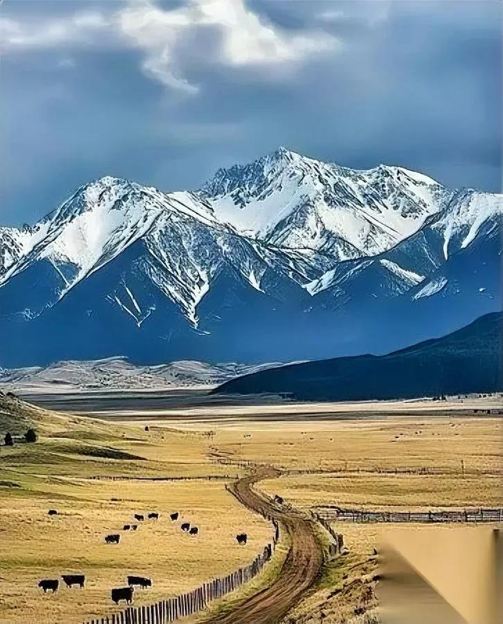 月薪三千，却被平均一万八

老板说这叫“低薪高能潜力股”

最狠的职场PUA是什