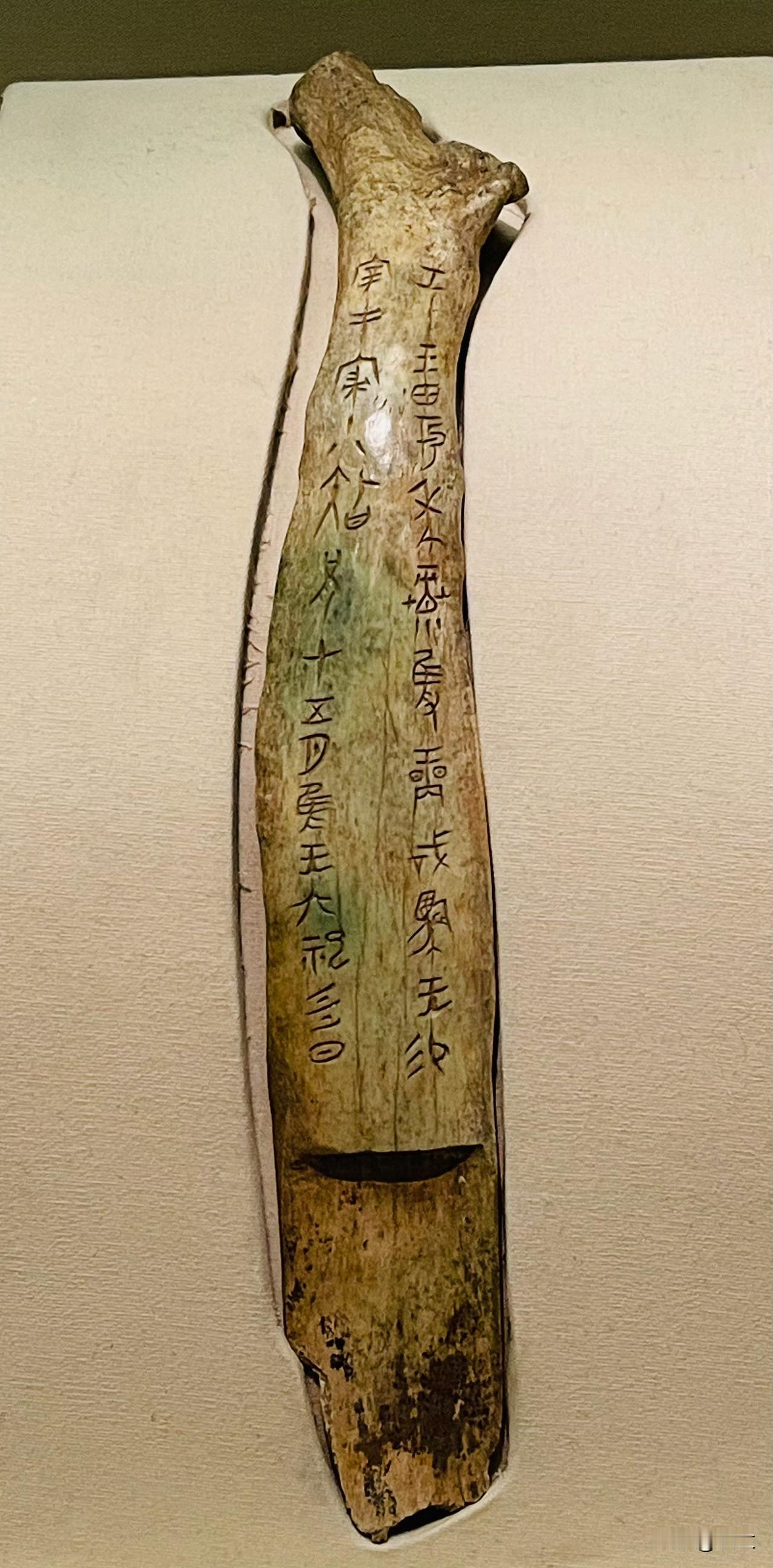 甲骨文是成体系的文字。  

换句话，从文字的角度来看，甲骨文至少是个婴幼儿了，