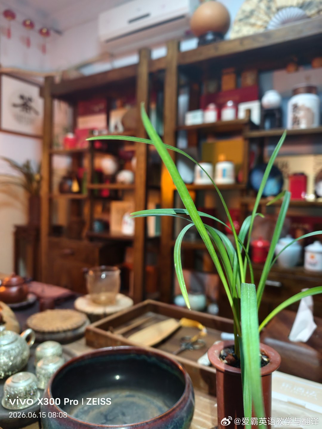让这盏茶，在奔忙的间隙，开辟一个回甘的角落。 