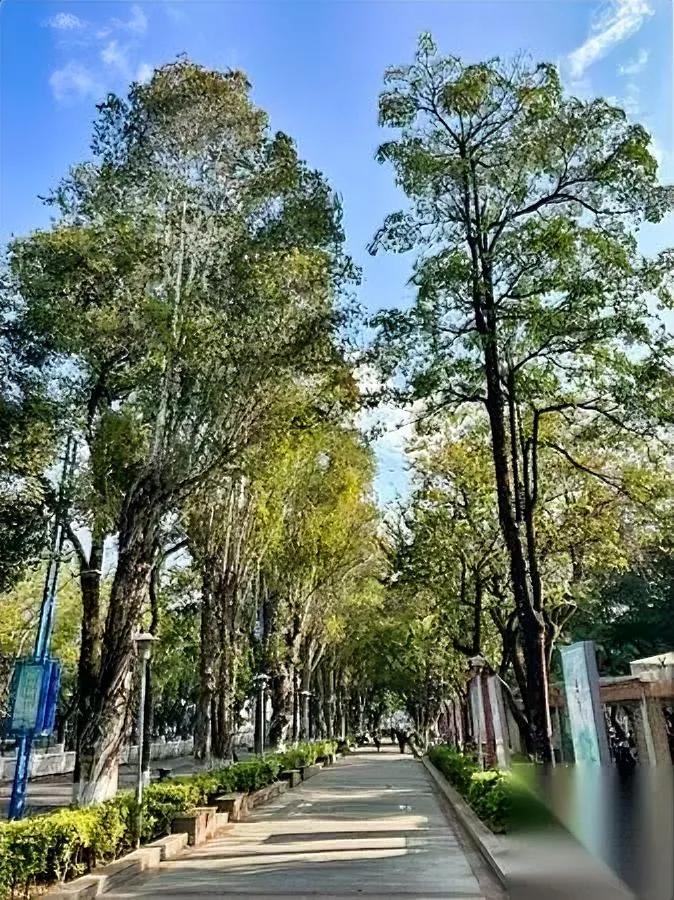 “30万？我连3万都凑不齐。”

同事甩出这句话时，我键盘上的咖啡差点翻。

别