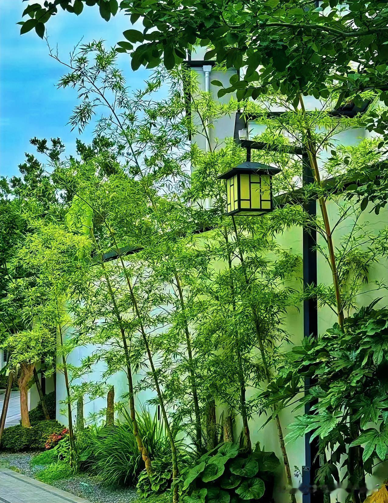 上联：高眠未起柴扉寂
下联：有请雅士[玫瑰][玫瑰][玫瑰]