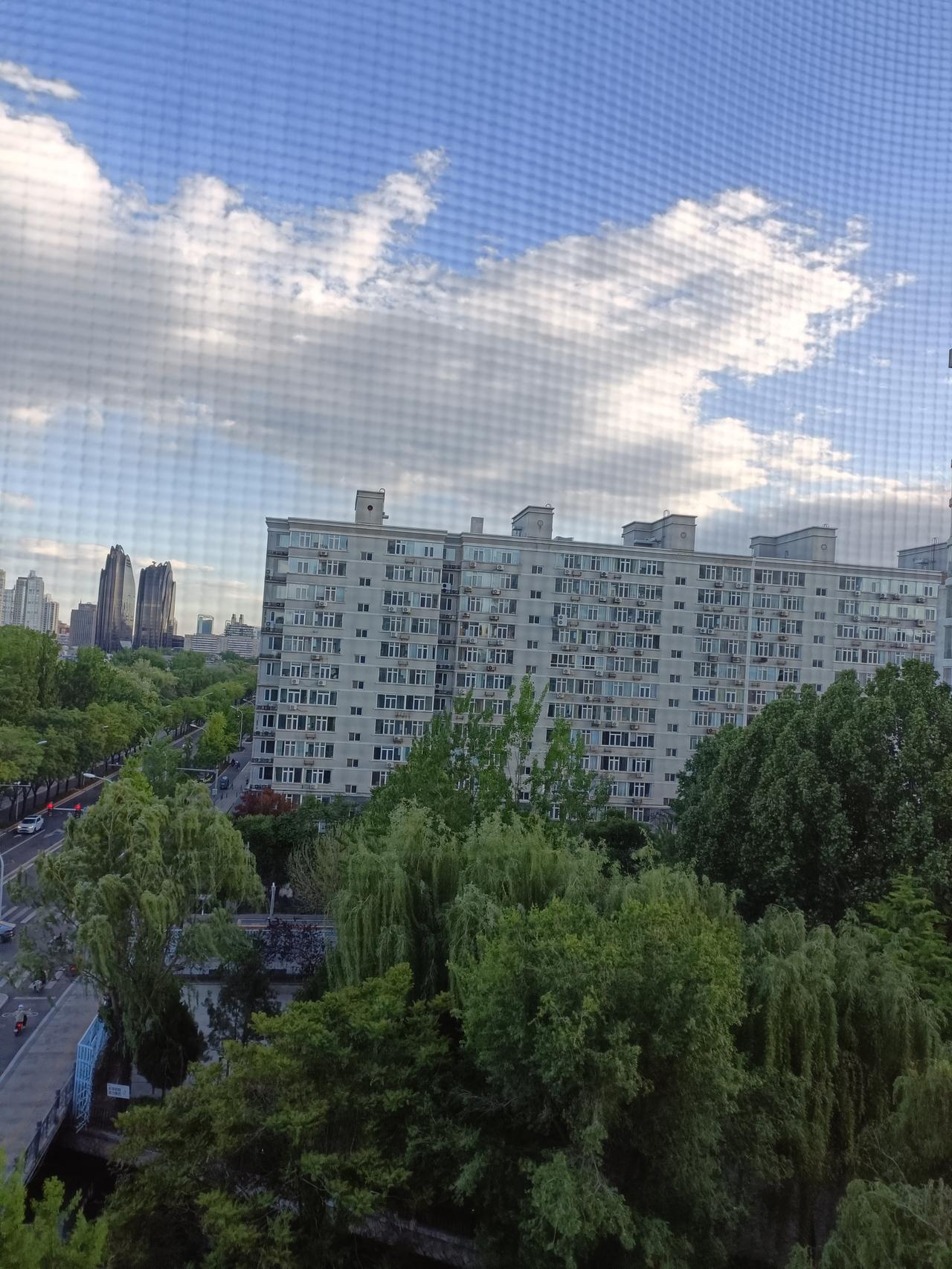 每天清晨被窗外鸟儿的叽喳声唤醒，接着去广场和老伙计们打太极、练剑，再在午后悠然地