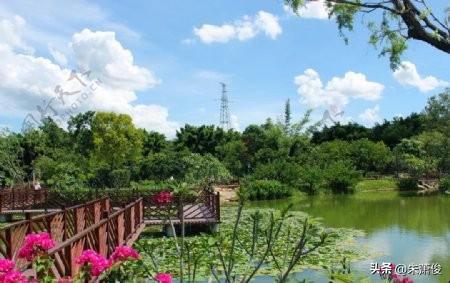 甑山生态园位于马鞍山当涂县姑孰镇，是国家3A级旅游景区 ，占地约1500亩，按4