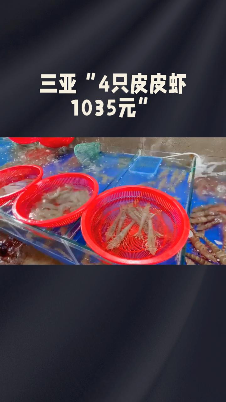 天价海鲜争议未平，店主却在舆论漩涡中骤然离世，年仅43岁。
近日，三亚“4只皮皮