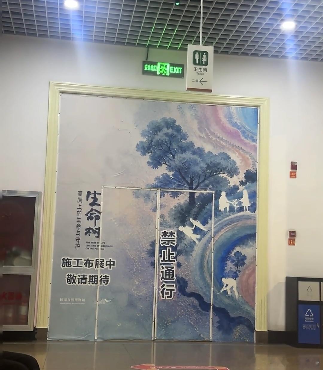 杨紫生命树国家自然博物馆布展🔥 