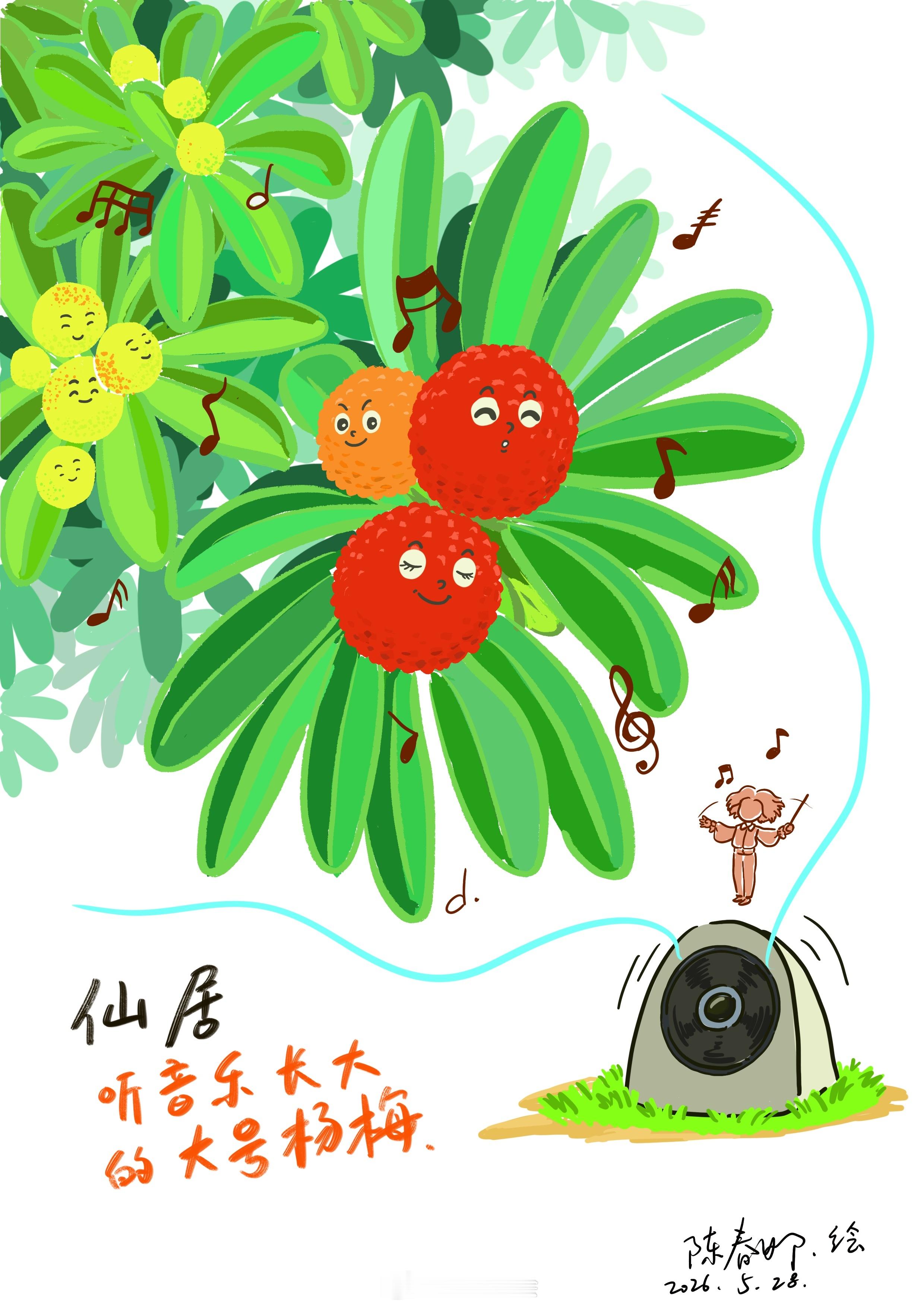 你听过跟乒乓球一般大的杨梅是怎么长成这么大的吗？近日我去了趟浙江的仙居看仙悅果园