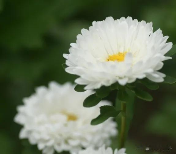 坐车去城里，就在公交车上，收到一条噩耗，说是我认识的一个朋友峰峰去世，享年59岁