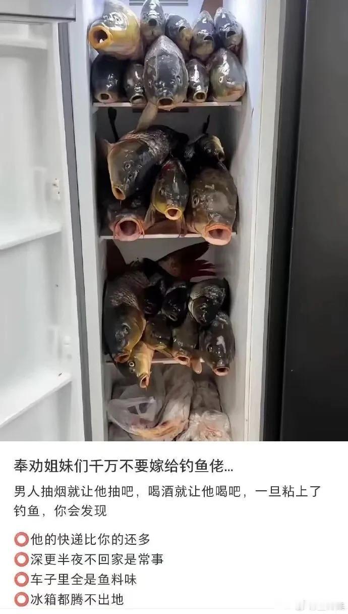 钓鱼佬绝不空军[奋斗]