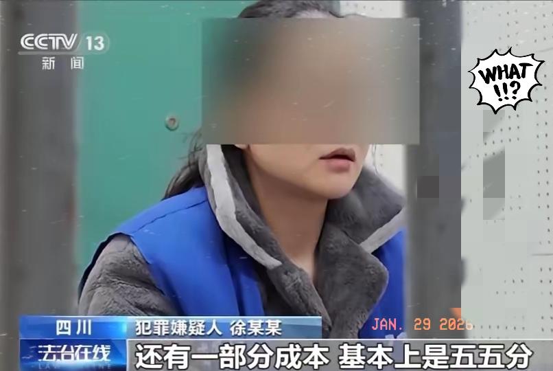 一家仅15人的小公司，竟然有13名女员工扎堆怀孕？更离谱的是，她们领到了高达10