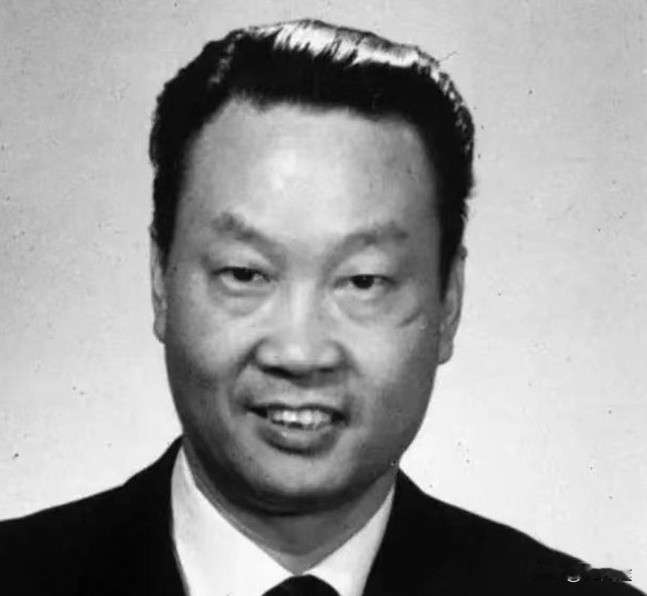 1985年，由于叛徒的出卖，中国最厉害的特工金无怠在美国被捕，为了保住国家的秘密