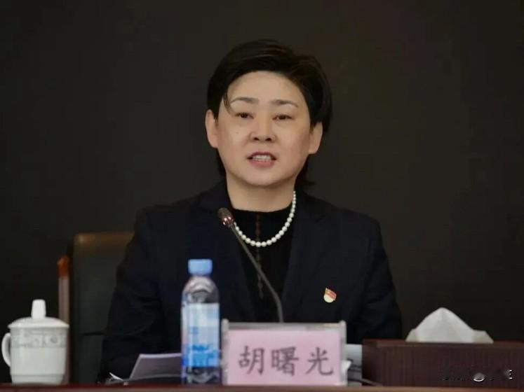 江西省交投新能源集团有限责任公司的胡曙光上了热搜！她是1971年出生的人，有着本