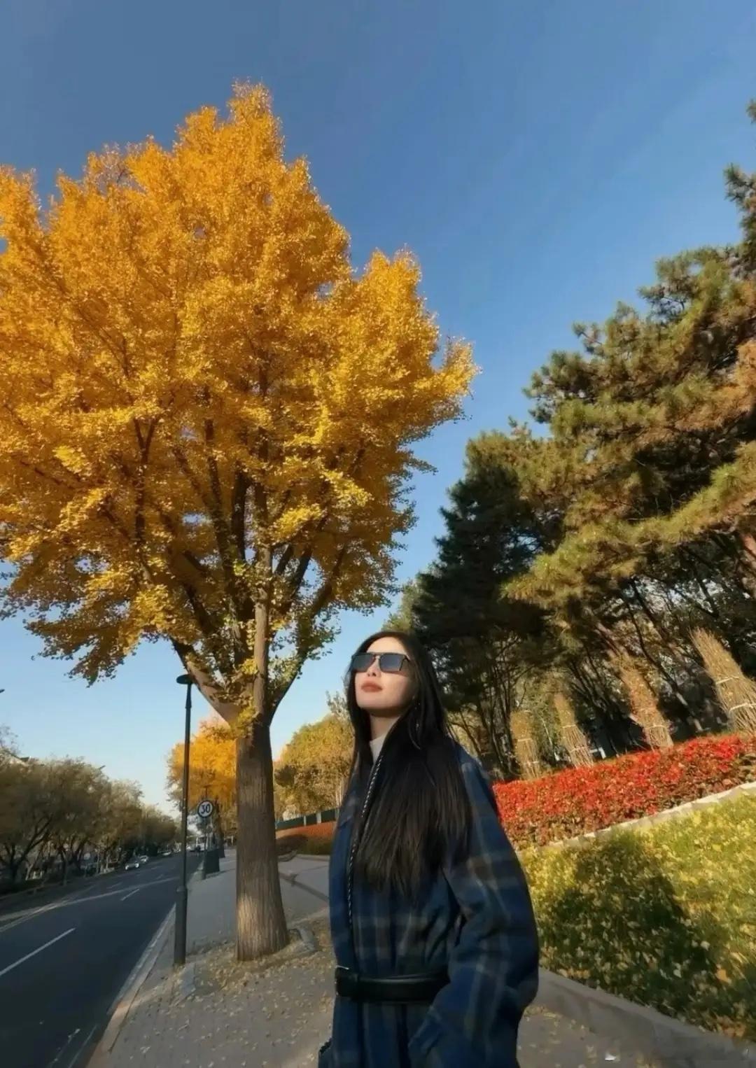 张嘉倪晒照踏秋，妈妈出镜年轻好气质，前夫买超开酒吧似有新欢了！ 