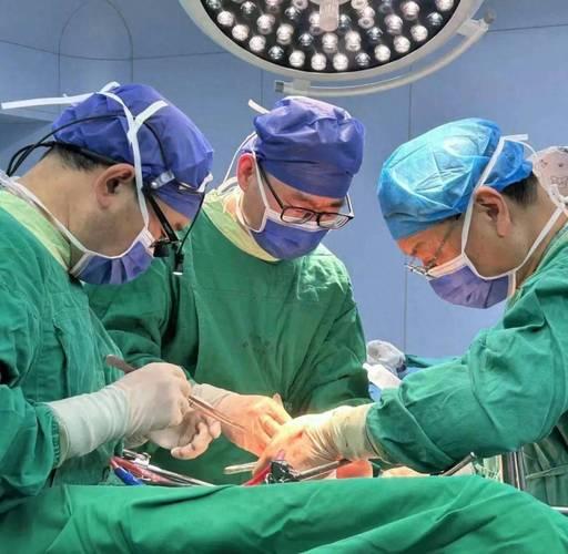国内医疗团队完成全球首例基因编辑猪肝与双肾的人体联合移植，术后不到24小时，移植